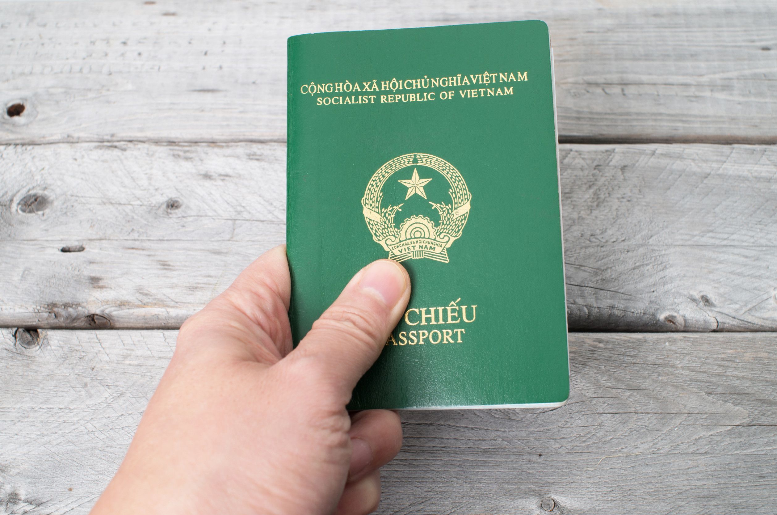 Human hand holding Vietnamese passport against wooden background