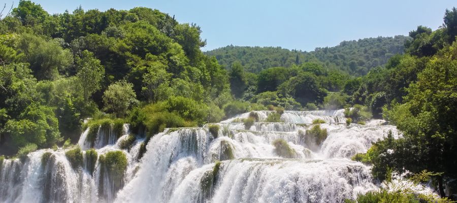 Exploring Vietnam National Parks